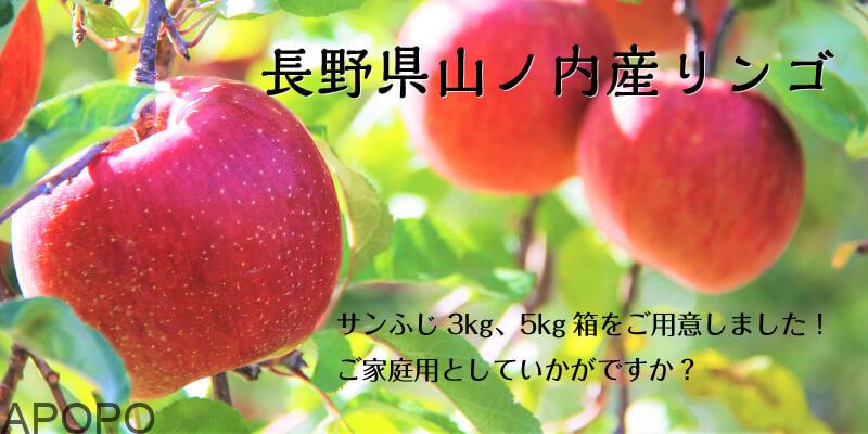 ec8f46a7f98e3bcfd9941f2ea67c5211_山ノ内りんごをインターネットからご購入いただけるようになりました
