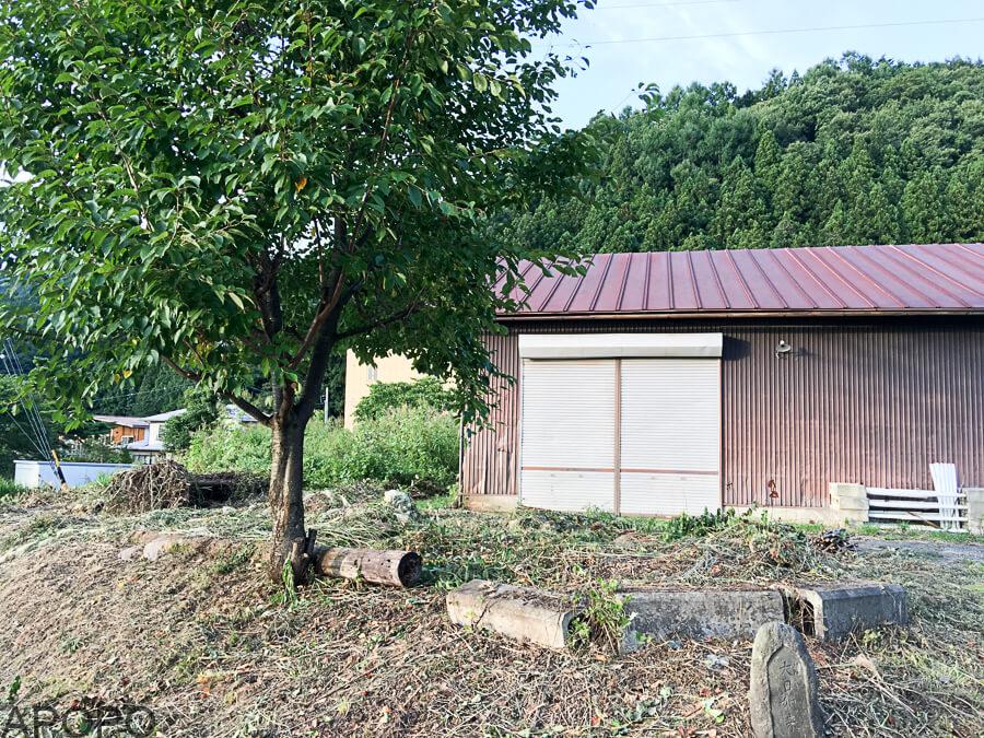j_201709-24_りんご直売所周辺の草刈り